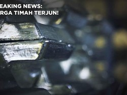 Breaking News: Harga Timah Terjun!