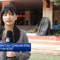 Siap-Siap! Pemerintah Izinkan PNS 'Work From Anywhere'