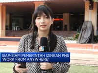 Siap-Siap! Pemerintah Izinkan PNS 'Work From Anywhere'