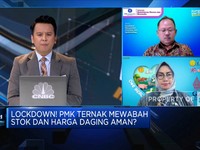 Strategi Kementan Atasi Ancaman Wabah PMK Ternak
