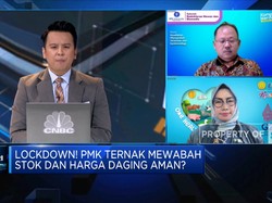 Strategi Kementan Atasi Ancaman Wabah PMK Ternak