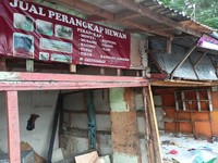Dear Pecinta Burung, Pasar Barito Lagi Dibongkar Tuh...