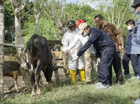 Klaim Penanganan Virus PMK Berhasil, Begini Penjelasan Mentan