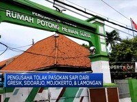 Wabah PMK, Pengusaha Tolak Pasokan Sapi Dari 4 Wilayah