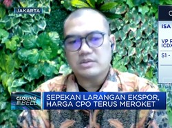 Perang Hingga Larangan Ekspor RI Bikin Harga CPO Terus Naik