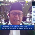 Petani Teriak, Larangan Ekspor Bikin Harga TBS Sawit Anjlok