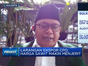 Petani Teriak, Larangan Ekspor Bikin Harga TBS Sawit Anjlok