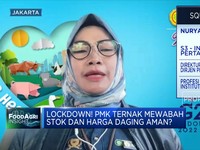 PMK Ternak Mewabah, Kementan Ungkap Penyebab & Penyebarannya