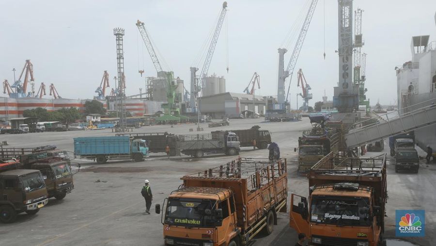 Sebanyak 3.288 sapi asal Australia tiba di Pelabuhan Tanjung Priok, Jakarta Utara, Kamis (12/5/2022).  (CNBC Indonesia/Tri Susilo)