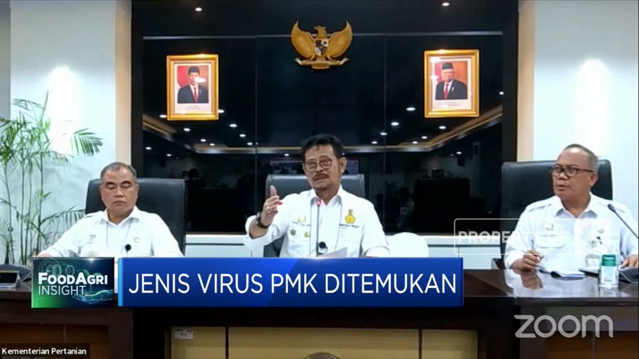 Tekan Penularan PMK, Pemerintah Siapkan Vaksinasi Nasional