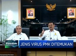 Tekan Penularan PMK, Pemerintah Siapkan Vaksinasi Nasional