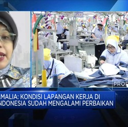 4 Sektor Andalan Pemerintah Tekan Angka Pengangguran
