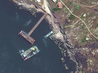Ini DIa Pulau Ular yang Jadi Kunci Perang Rusia-Ukraina