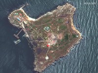 Tarik Pasukan dari Pulau Ular Ukraina, Rusia: Niat Baik