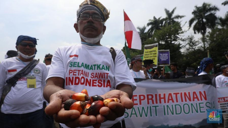 Asosiasi Petani Kelapa Sawit Indonesia (APKASINDO) melakukan aksi unjuk rasa di kawasan Patung Kuda, Jakarta, Selasa, (17/5/2022). (CNBC Indonesia/Andrean Kristianto)