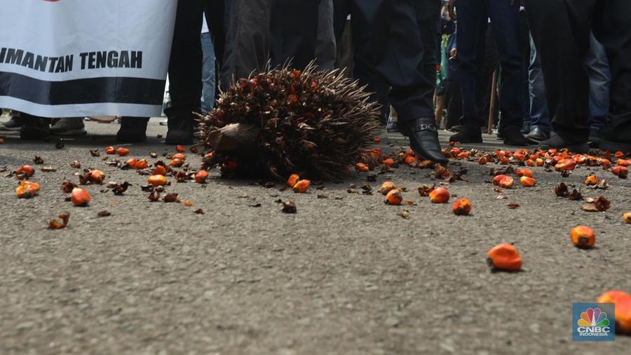 Asosiasi Petani Kelapa Sawit Indonesia (APKASINDO) melakukan aksi unjuk rasa di kawasan Patung Kuda, Jakarta, Selasa, (17/5/2022). (CNBC Indonesia/Andrean Kristianto)