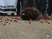 Luhut Tetapkan DMO Tinggi Supaya Pasar Banjir Minyak Goreng