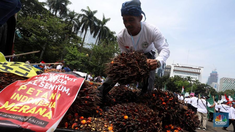Asosiasi Petani Kelapa Sawit Indonesia (APKASINDO) melakukan aksi unjuk rasa di kawasan Patung Kuda, Jakarta, Selasa, (17/5/2022). (CNBC Indonesia/Andrean Kristianto)
