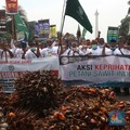 Kata Zulhas Petani Sawit Malaysia Bahagia, di RI Menderita