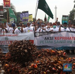 Kata Zulhas Petani Sawit Malaysia Bahagia, di RI Menderita