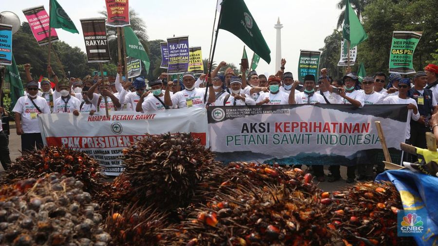 Asosiasi Petani Kelapa Sawit Indonesia (APKASINDO) melakukan aksi unjuk rasa di kawasan Patung Kuda, Jakarta, Selasa, (17/5/2022). (CNBC Indonesia/Andrean Kristianto)