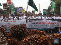 Kata Zulhas Petani Sawit Malaysia Bahagia, di RI Menderita