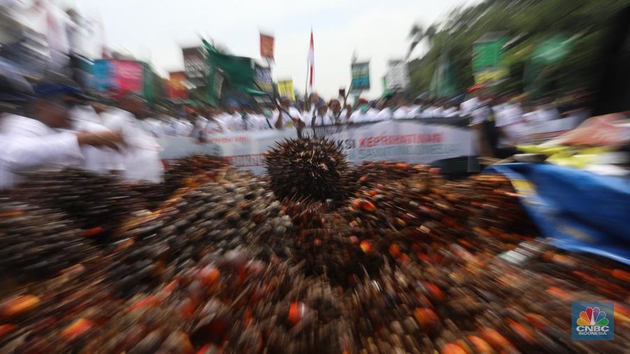 Asosiasi Petani Kelapa Sawit Indonesia (APKASINDO) melakukan aksi unjuk rasa di kawasan Patung Kuda, Jakarta, Selasa, (17/5/2022). (CNBC Indonesia/Andrean Kristianto)