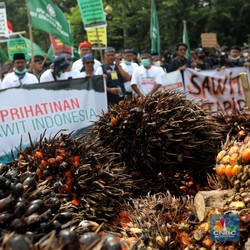 Ketemu Prabowo, Petani Sawit Minta Ada Revisi Permentan