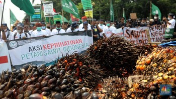 Ketemu Prabowo, Petani Sawit Minta Ada Revisi Permentan