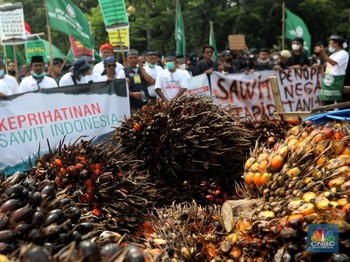 Ketemu Prabowo, Petani Sawit Minta Ada Revisi Permentan