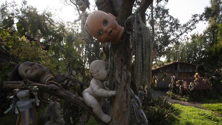 Boneka digantung di pohon di Pulau Boneka Mati di Xochimilco, Mexico City. (AP/Marco Ugarte)