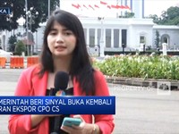 Pemerintah Beri Sinyal Buka Kembali Keran Ekspor CPO Cs