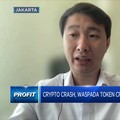 Crypto Crash, Waspada Token Crypto Bodong
