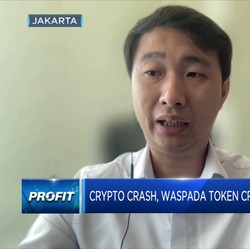 Crypto Crash, Waspada Token Crypto Bodong