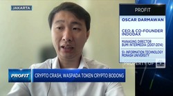 Crypto Crash, Waspada Token Crypto Bodong
