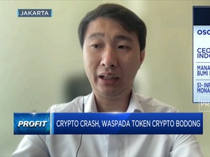 Crypto Crash, Waspada Token Crypto Bodong