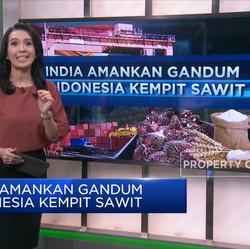 India Amankan Gandum, Indonesia Kempit Sawit