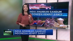 India Amankan Gandum, Indonesia Kempit Sawit