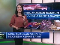 India Amankan Gandum, Indonesia Kempit Sawit