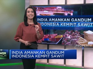 India Amankan Gandum, Indonesia Kempit Sawit