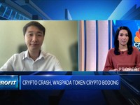 Jurus Berburu Aset Kripto Saat Terjadi 'Crypto Crash'