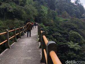 Pesona Plunyon Kalikuning: Jembatan Ikonik dengan Taman Tepi Sungai