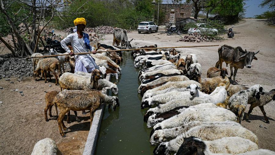 Orang-orang beristirahat di bawah jembatan di dasar Sungai Yamuna pada hari musim panas di New Delhi. (Anadolu Agency via Getty Images/Anadolu Agency)