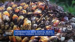 Sinyal Kuat 