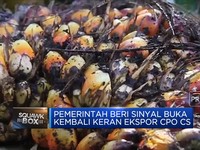 Sinyal Kuat 