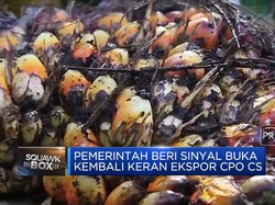 Sinyal Kuat "Keran' Ekspor CPO Cs Bakal Dibuka