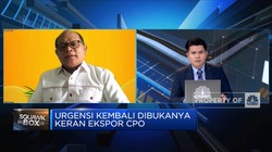 Bukan Larang Ekspor CPO, Ini Cara Penuhi Kebutuhan Migor