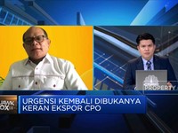 Bukan Larang Ekspor CPO, Ini Cara Penuhi Kebutuhan Migor