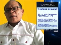 Harga Sawit Petani Anjlok, Keran Ekspor CPO Cs Harus Dibuka?