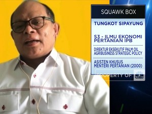 Harga Sawit Petani Anjlok, Keran Ekspor CPO Cs Harus Dibuka?